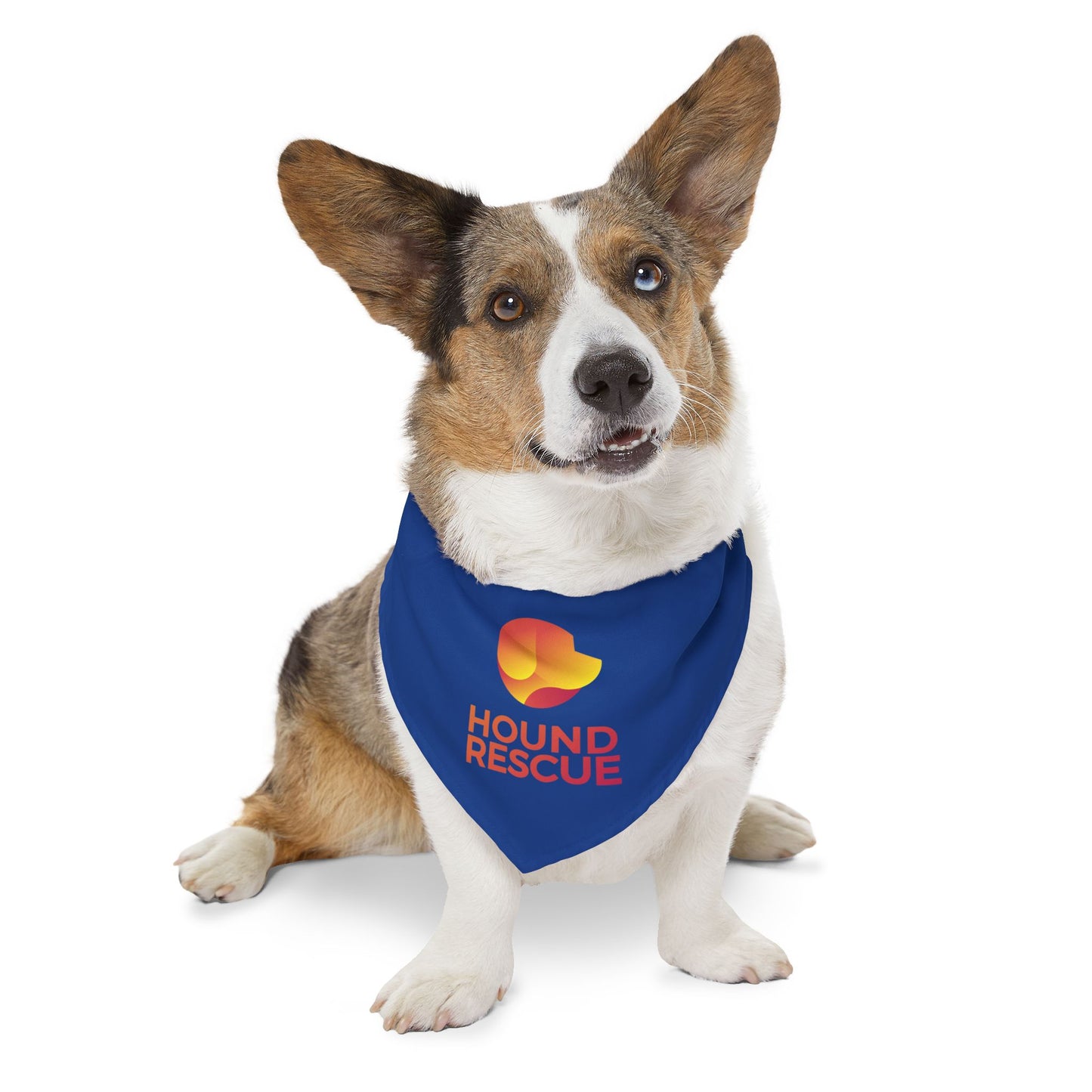 Hound Rescue Pet Bandana Collar (Royal Blue)