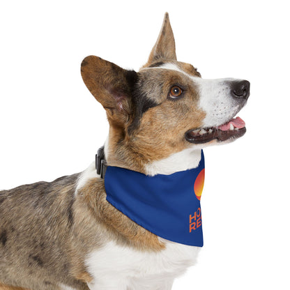 Hound Rescue Pet Bandana Collar (Royal Blue)