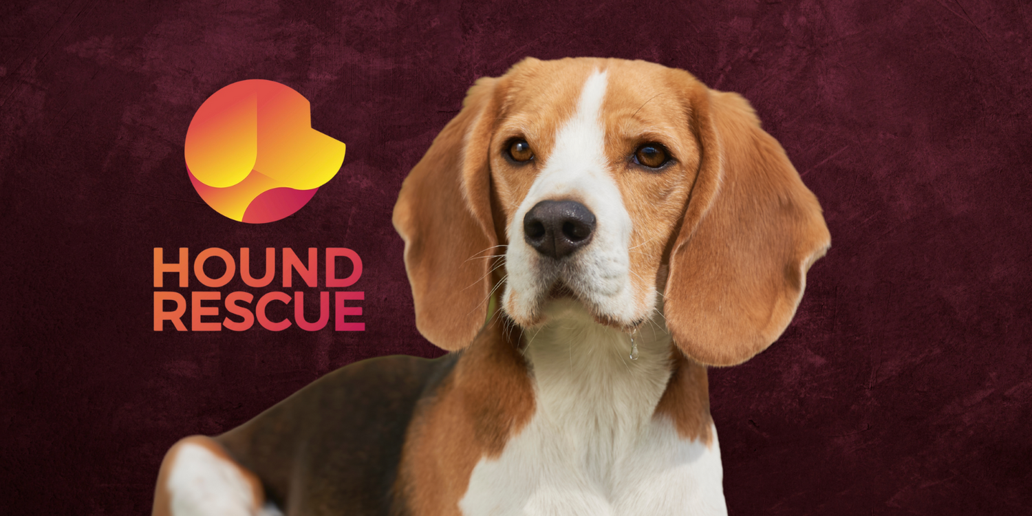 About Hound Rescue