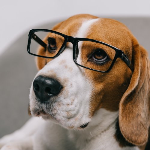 Subscribe to The Monday Memo